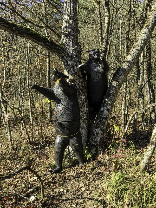 I A 002 Oktober 15-bogenschiessen