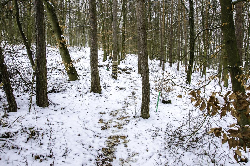 I A 003 Januar 16-bogenschiessen