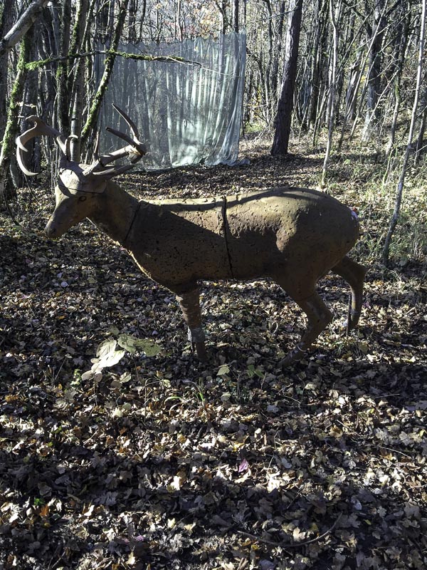 I A 003 Oktober 15-bogenschiessen