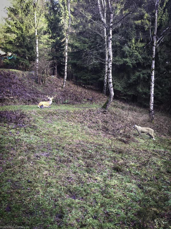 I A 007 Dezember 15-bogenschiessen