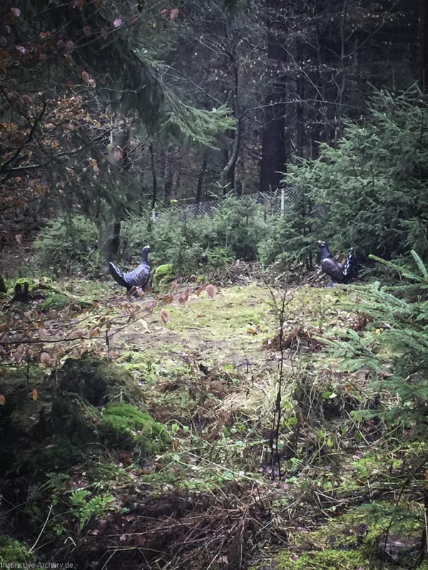 I A 008 Dezember 15-bogenschiessen