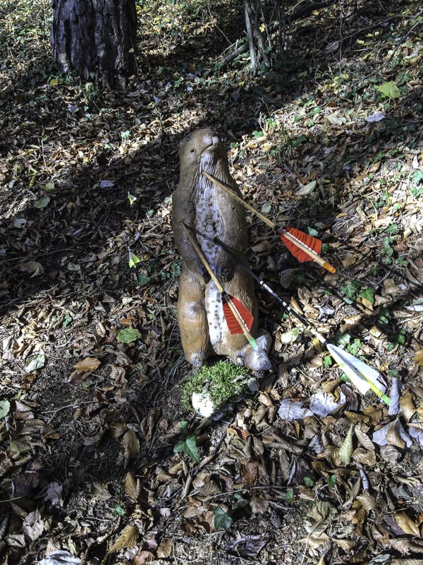 I A 008 Oktober 15-bogenschiessen