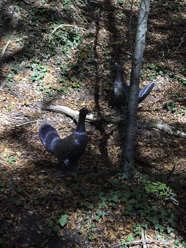 I A 011 Oktober 15-bogenschiessen