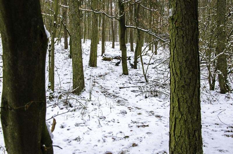 I A 012 Januar 16-bogenschiessen