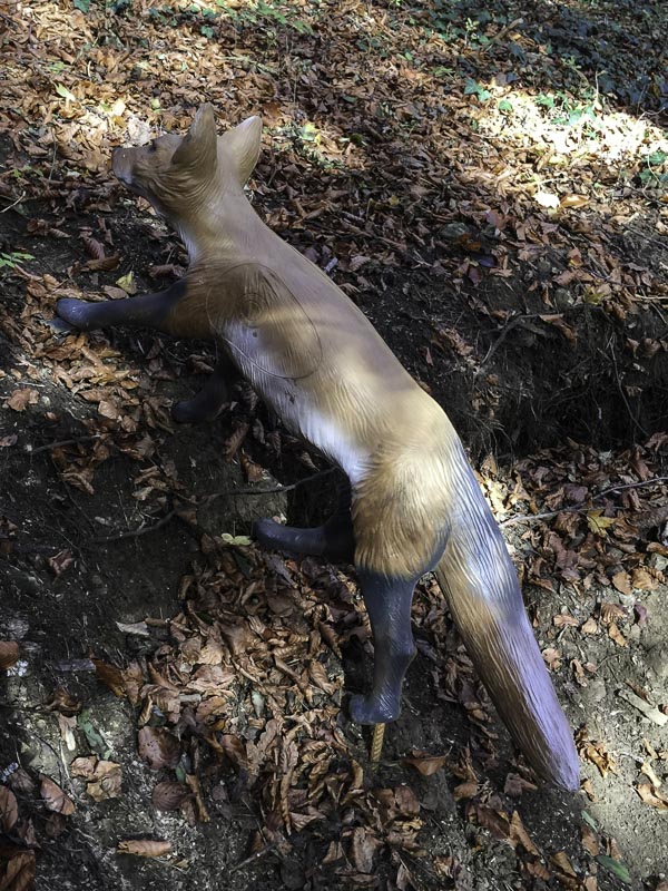 I A 014 Oktober 15-bogenschiessen