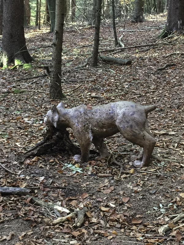 I A 019 Oktober 15-bogenschiessen