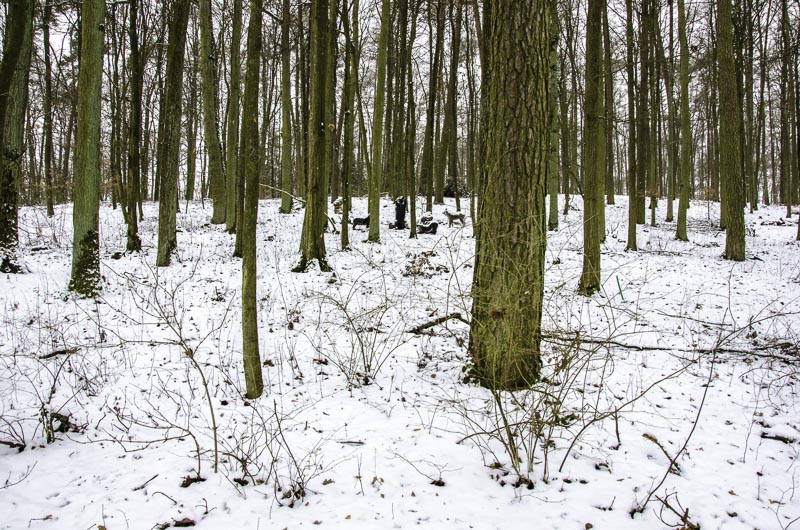 I A 020 Januar 16-bogenschiessen