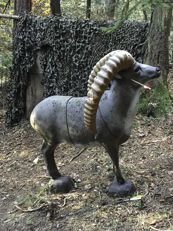 I A 020 Oktober 15-bogenschiessen