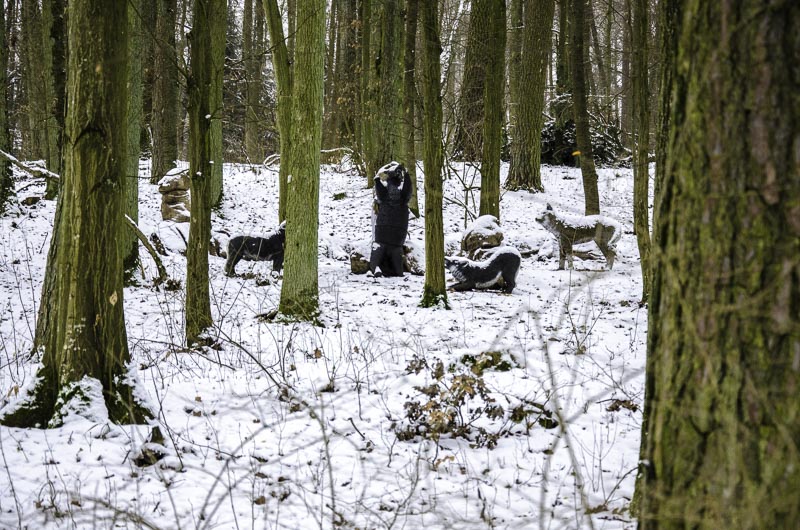 I A 021 Januar 16-bogenschiessen