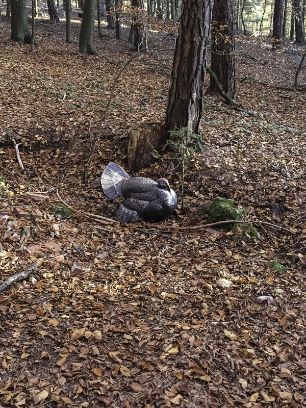 I A 021 Oktober 15-bogenschiessen