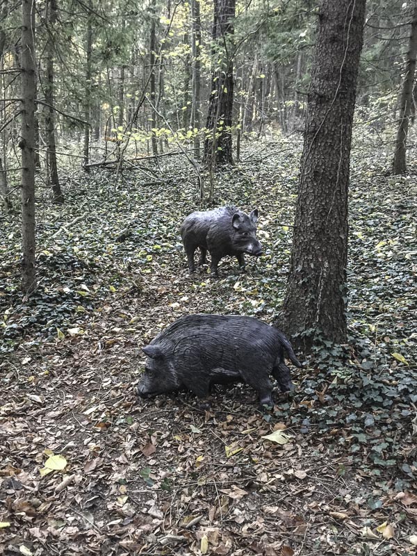 I A 023 Oktober 15-bogenschiessen