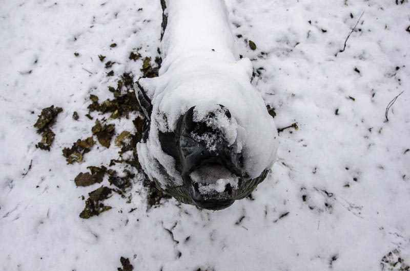 I A 025 Januar 16-bogenschiessen