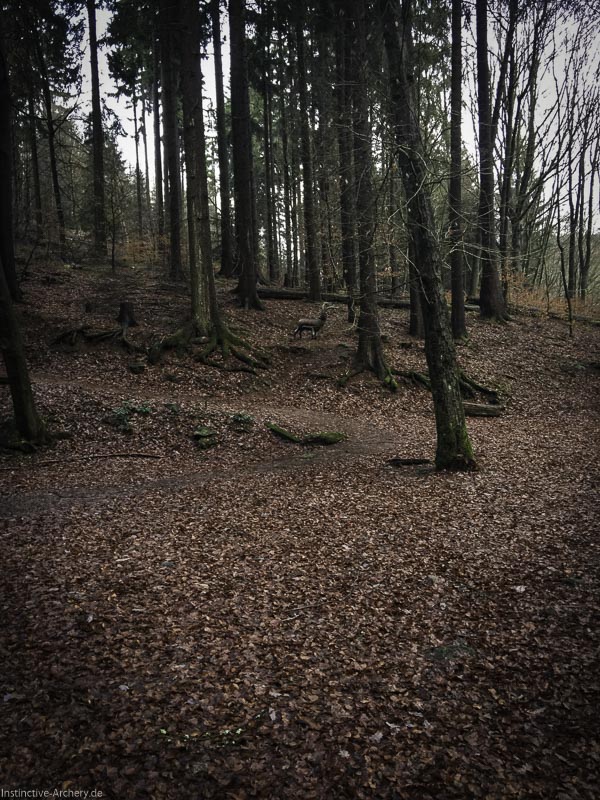 I A 033 Dezember 15-bogenschiessen