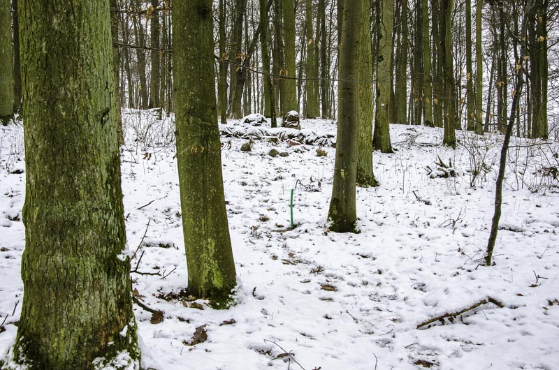 I A 037 Januar 16-bogenschiessen