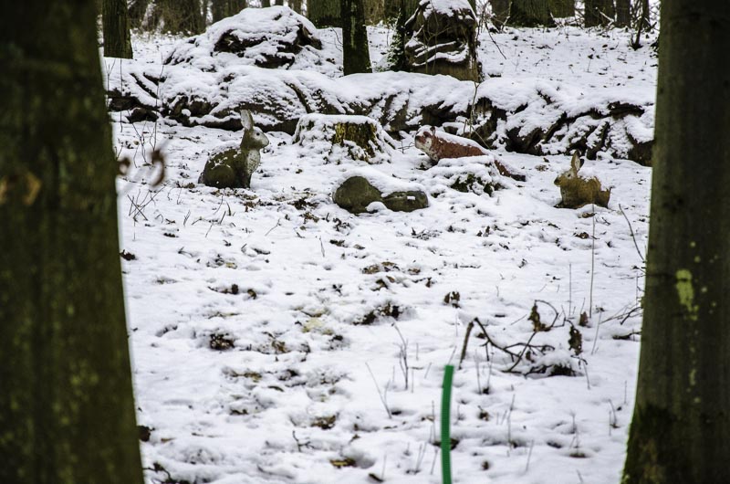 I A 039 Januar 16-bogenschiessen