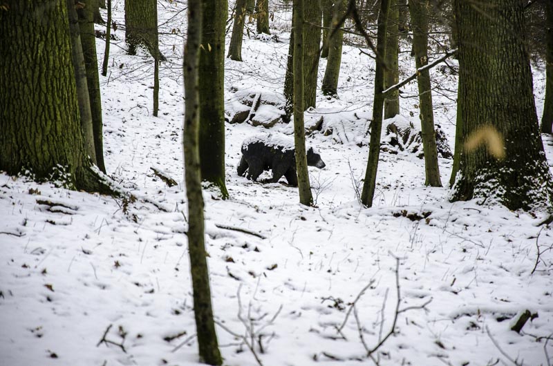 I A 046 Januar 16-bogenschiessen