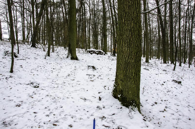 I A 049 Januar 16-bogenschiessen