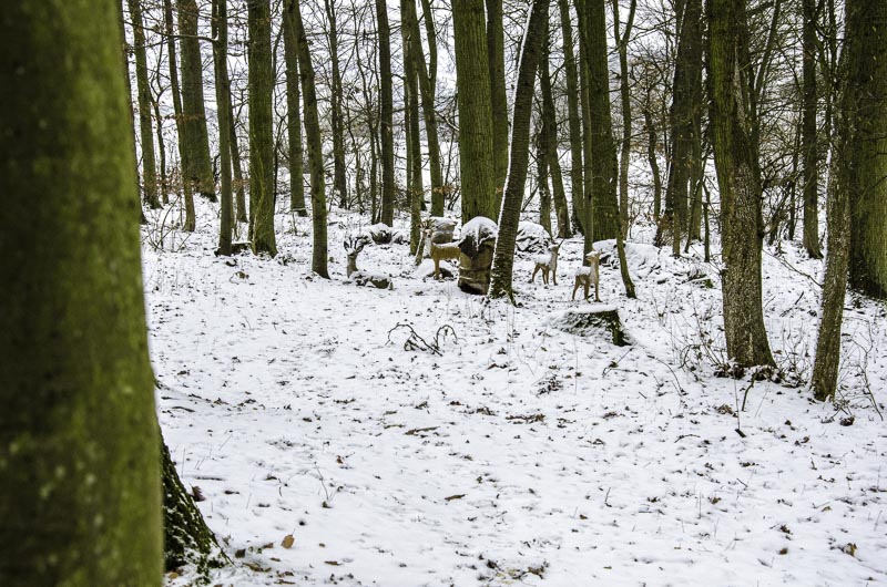 I A 055 Januar 16-bogenschiessen