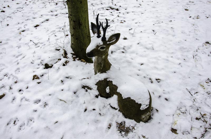 I A 059 Januar 16-bogenschiessen