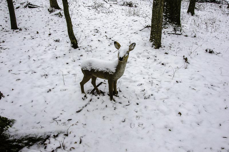 I A 060 Januar 16-bogenschiessen