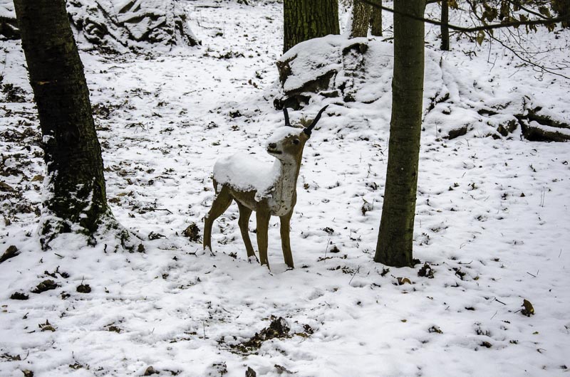 I A 061 Januar 16-bogenschiessen