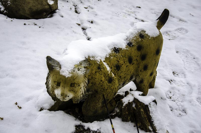 I A 069 Januar 16-bogenschiessen