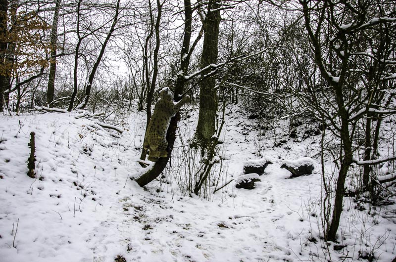 I A 101 Januar 16-bogenschiessen