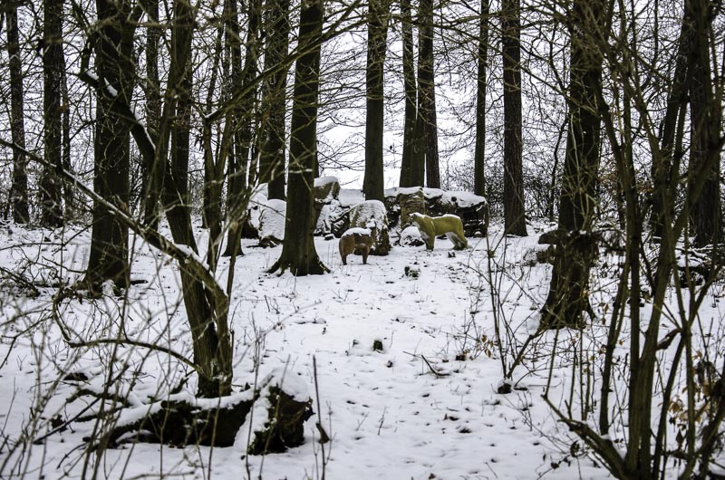 I A 104 Januar 16-bogenschiessen