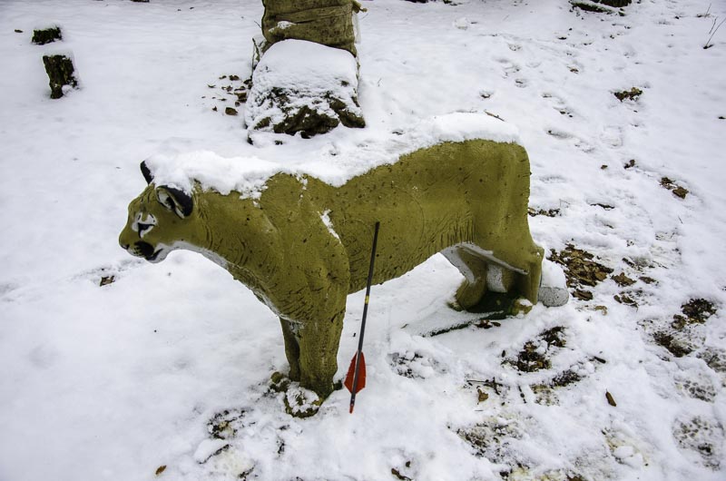 I A 109 Januar 16-bogenschiessen