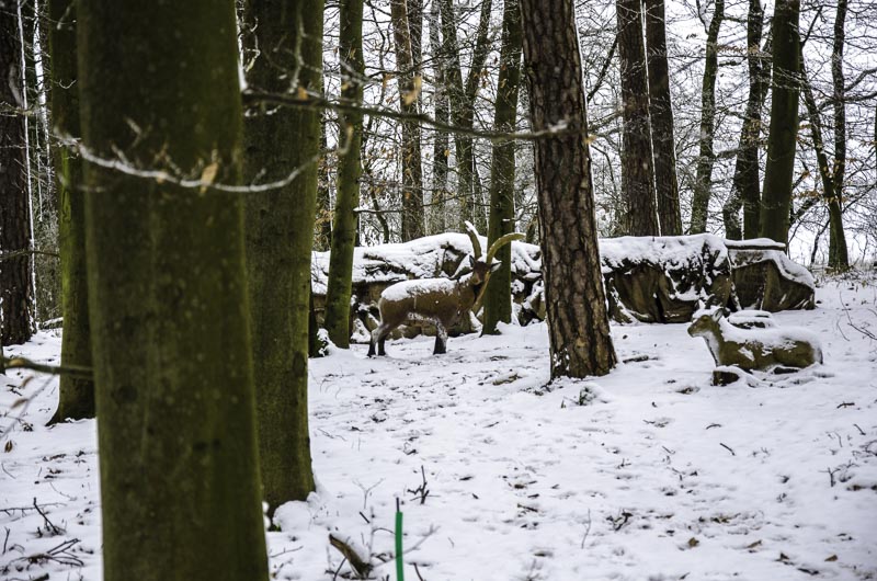 I A 112 Januar 16-bogenschiessen