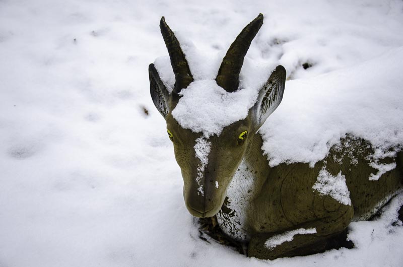 I A 114 Januar 16-bogenschiessen