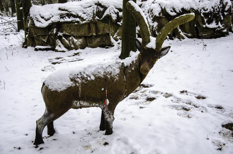 I A 116 Januar 16-bogenschiessen