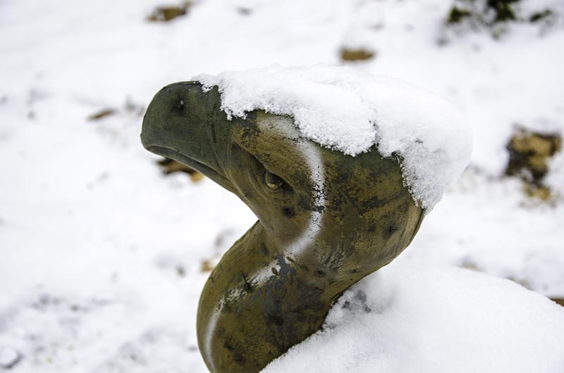 I A 121 Januar 16-bogenschiessen