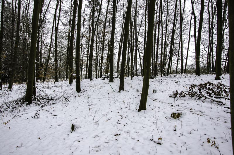 I A 122 Januar 16-bogenschiessen