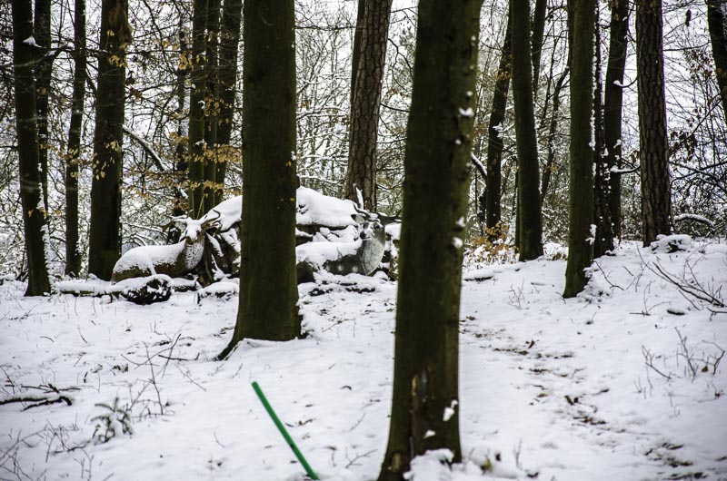 I A 123 Januar 16-bogenschiessen