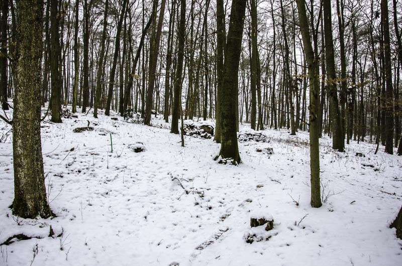 I A 127 Januar 16-bogenschiessen