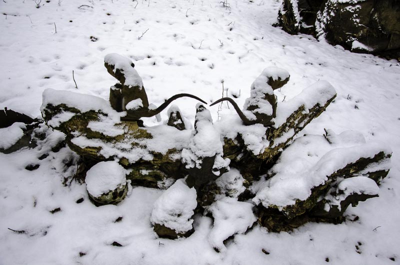 I A 133 Januar 16-bogenschiessen