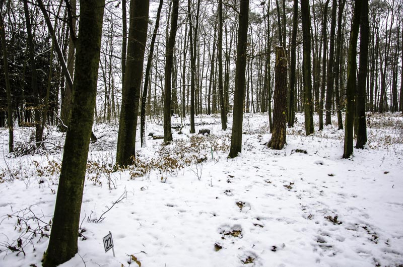 I A 134 Januar 16-bogenschiessen