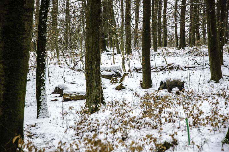 I A 138 Januar 16-bogenschiessen