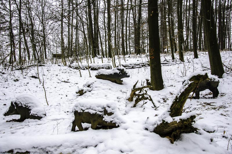 I A 140 Januar 16-bogenschiessen