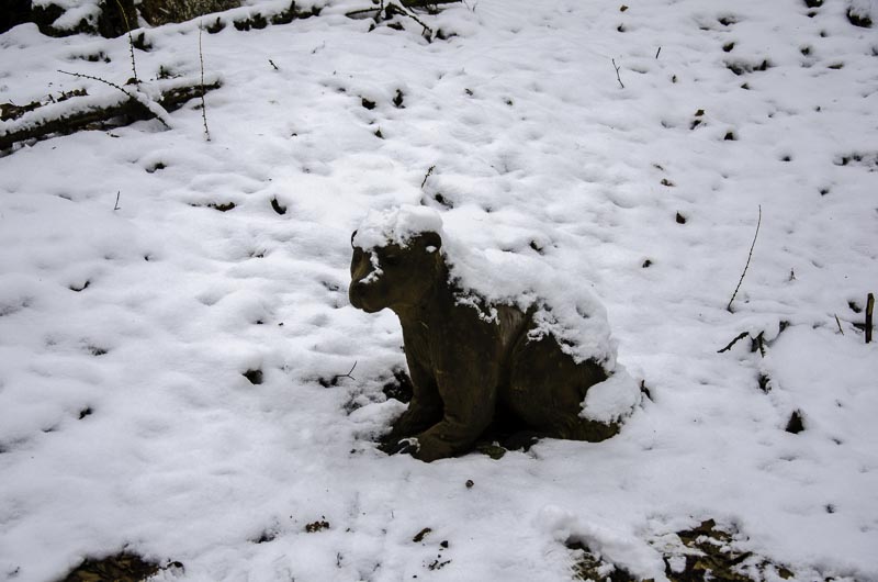 I A 150 Januar 16-bogenschiessen