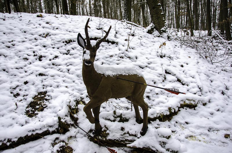 I A 154 Januar 16-bogenschiessen