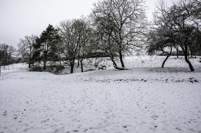 I A 162 Januar 16-bogenschiessen