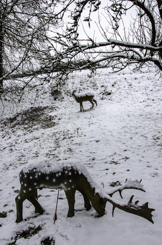 I A 167 Januar 16-bogenschiessen