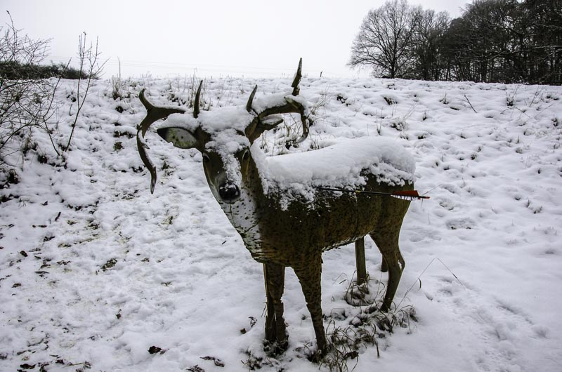 I A 168 Januar 16-bogenschiessen