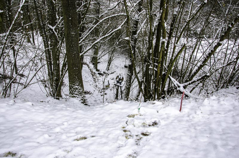 I A 169 Januar 16-bogenschiessen