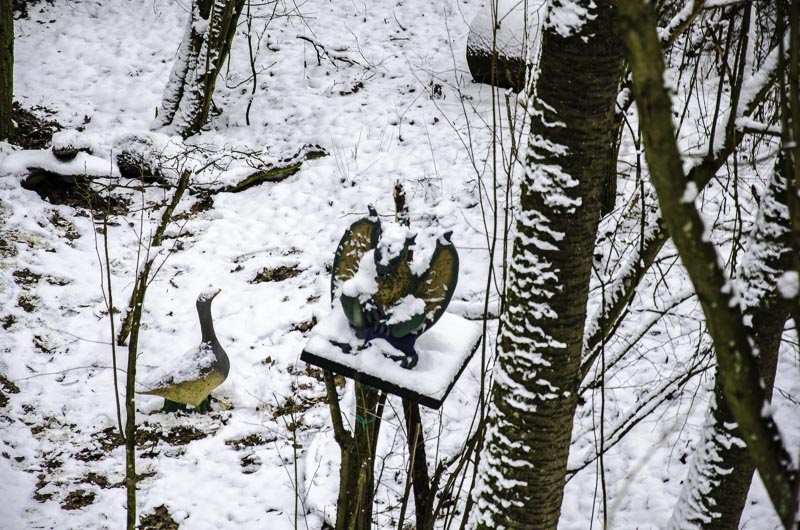 I A 170 Januar 16-bogenschiessen