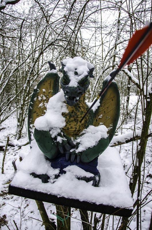 I A 176 Januar 16-bogenschiessen