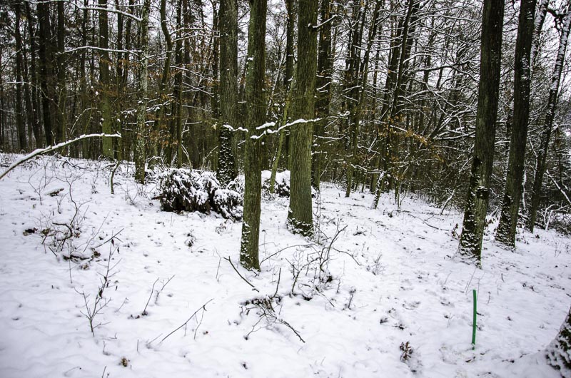 I A 180 Januar 16-bogenschiessen