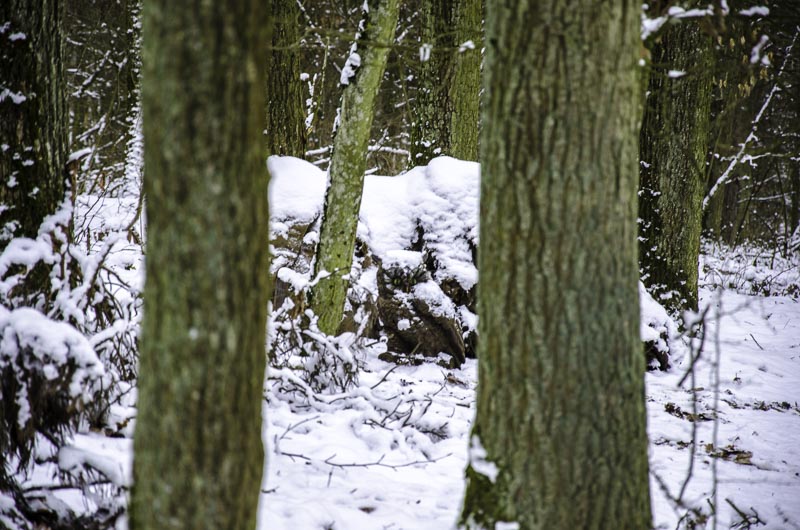 I A 181 Januar 16-bogenschiessen